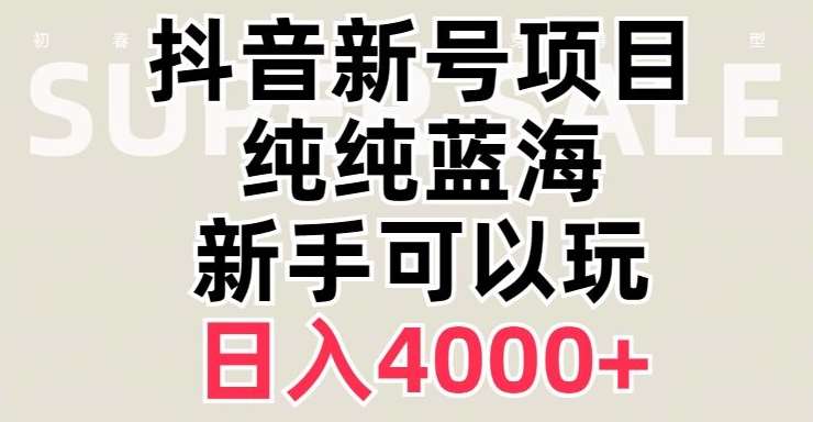 抖音蓝海赛道，必须是新账号，日入4000+【揭秘】-宇文网创