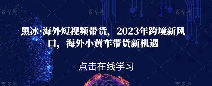 黑冰·海外短视频带货，2023年跨境新风口，海外小黄车带货新机遇-宇文网创