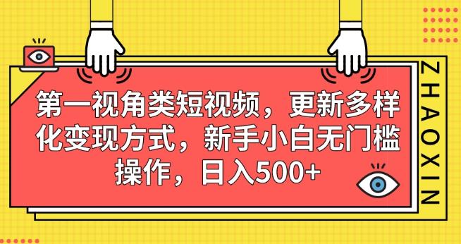 第一视角类短视频，更新多样化变现方式，新手小白无门槛操作，日入500+【揭秘】-宇文网创