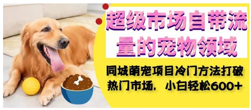 超级市场自带流量的宠物领域，同城萌宠项目冷门方法打破热门市场，小白轻松600+-宇文网创