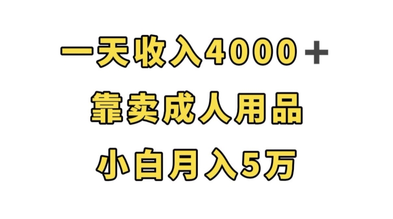 一天收入4000+，靠卖成人用品，小白轻松月入5万【揭秘】-宇文网创