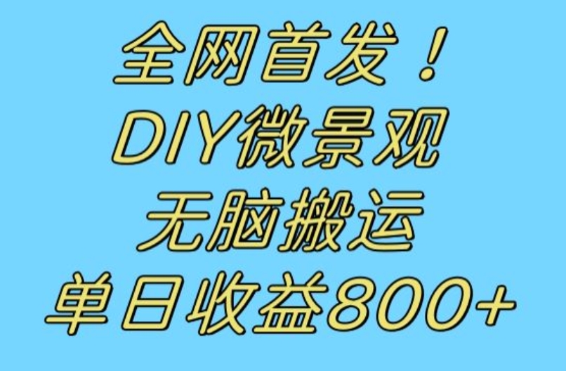 全网首发冷门赛道！DIY微景观，无脑搬运视频，日收益800+【揭秘】-宇文网创