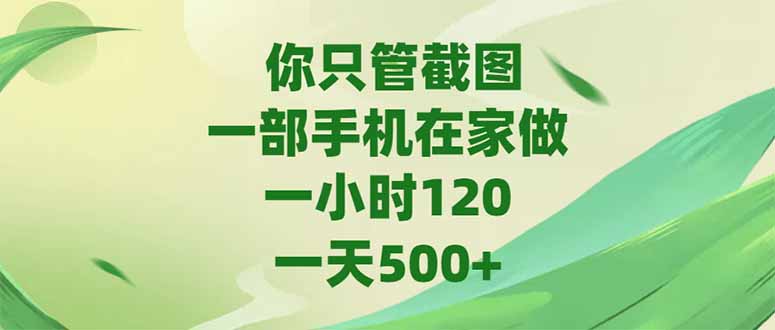 （15039期）你只管截图，一部手机在家做，一小时120，-天500+-宇文网创