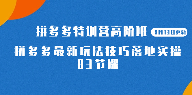 2023拼多多·特训营高阶班【9月13日更新】拼多多最新玩法技巧落地实操-83节-宇文网创