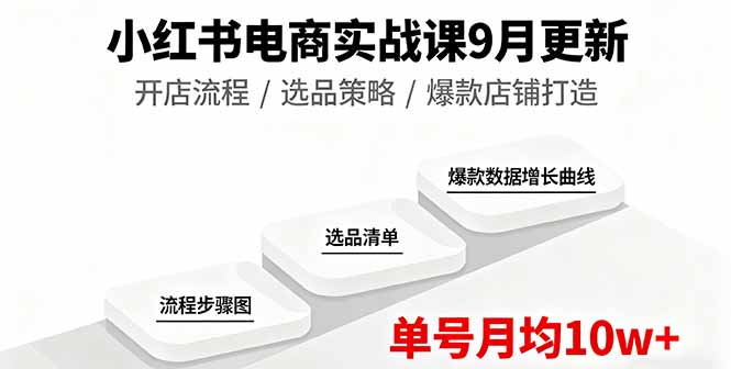 （16120期）小红书电商实战课9月更新，开店流程/选品策略/爆款店铺打造，单号月均10w+-宇文网创