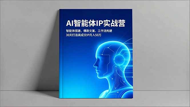 （16689期）AI智能体IP实战营，智能体搭建、爆款文案、工作流构建，30天打造高成交IP月入50万-宇文网创