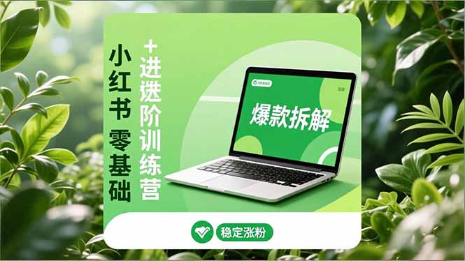 （16801期）小红书零基础+高阶训练营：安全养号、爆款拆解、长效运营，实现稳定涨粉与变现-宇文网创