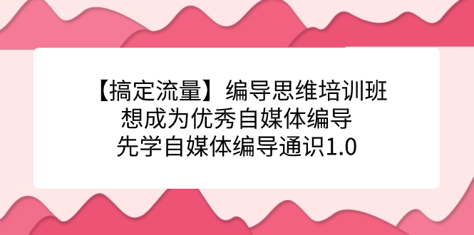 【搞定流量】编导思维培训班，想成为优秀自媒体编导先学自媒体编导通识1.0-宇文网创