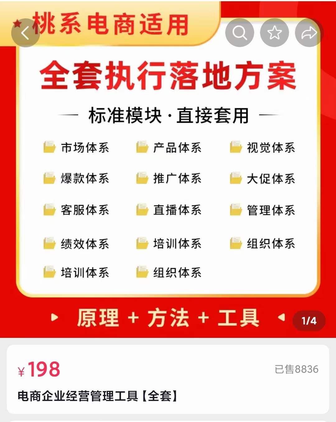 外面卖198·电商企业经营管理工具：全套执行落地方案 标准模块·直接套用-宇文网创
