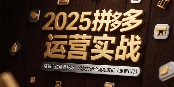 (15235期)2025拼多多运营实战:店铺定位选品技巧,爆款打造全流程解析(更新6月)-宇文网创