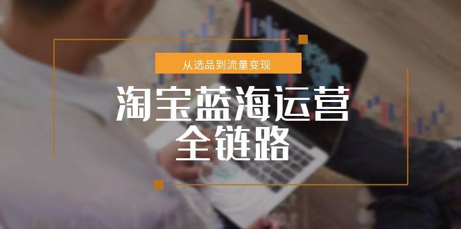 （15160期）淘宝蓝海运营全链路，从选品到流量变现，小类目突围完整方案-宇文网创