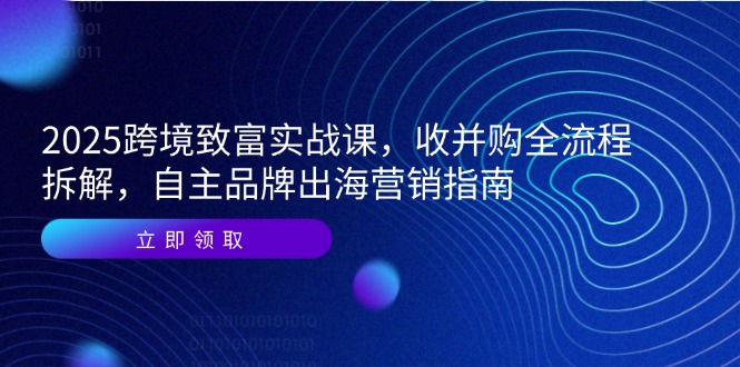 （14975期）2025跨境致富实战课，收并购全流程拆解，自主品牌出海营销指南-宇文网创