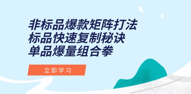 （15068期）非标品爆款矩阵打法，标品快速复制秘诀，单品爆量组合拳-宇文网创