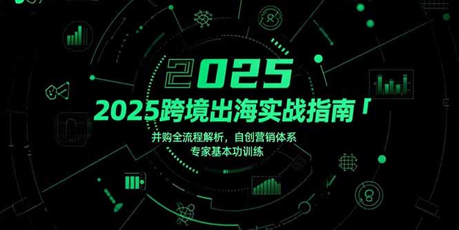 （15503期）2025跨境出海实战指南，并购全流程解析，自创营销体系，专家基本功训练-宇文网创
