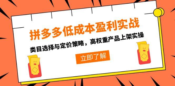 （15143期）拼多多低成本盈利实战，类目选择与定价策略，高权重产品上架实操-宇文网创