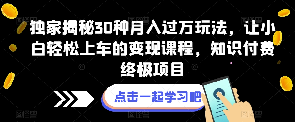独家揭秘30种月入过万玩法，让小白轻松上车的变现课程，知识付费终极项目【揭秘】-宇文网创