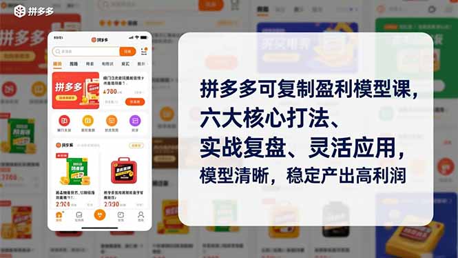 (16952期)拼多多可复制盈利模型课,六大核心打法、实战复盘、灵活应用,模型清晰,稳定产出高利润-宇文网创