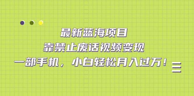 最新蓝海项目，靠禁止废话视频变现，一部手机，小白轻松月入过万！-宇文网创