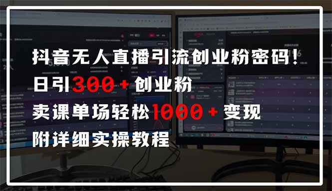 （14564期）抖音无人直播引流密码！日引300+创业粉 单场轻松1000+变现 附详细实操教程-宇文网创