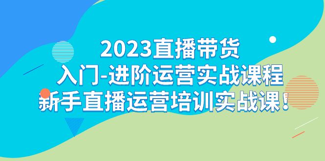 2023直播带货入门-进阶运营实战课程：新手直播运营培训实战课-宇文网创