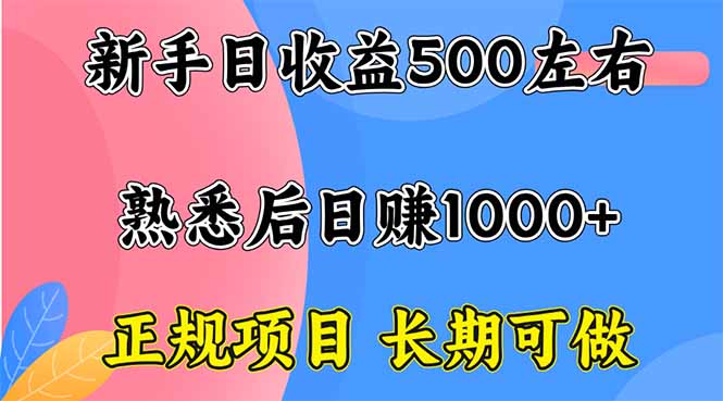 （16132期）新手日收益500+ 正规项目 长期可做-宇文网创