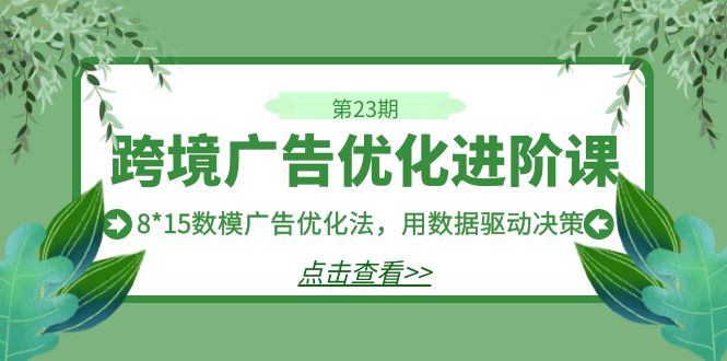 跨境广告·优化进阶课·第23期，8*15数模广告优化法，用数据驱动决策-宇文网创