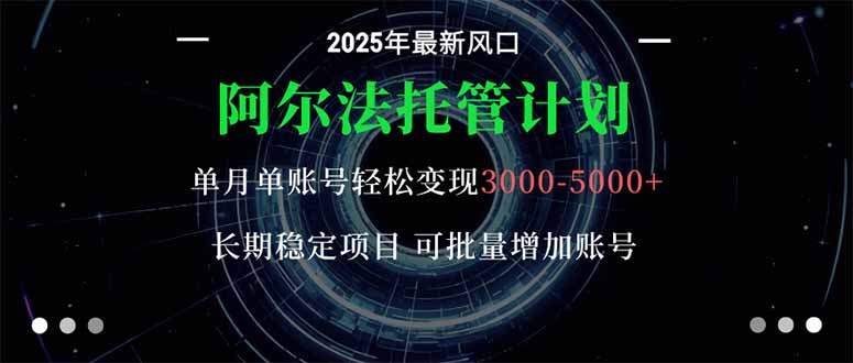 (16360期)阿尔法托管计划 单账号月入3000-5000,长期稳定项目,新手小白轻松上手。-宇文网创