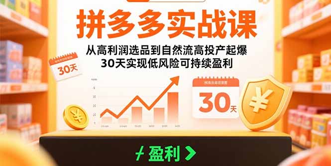 （15586期）拼多多实战课：从高利润选品到自然流高投产起爆 30天实现低风险可持续盈利-宇文网创