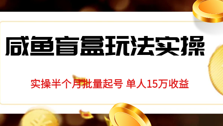 独家首发咸鱼盲盒玩法实操,半个月批量起号单人15万收益揭秘-宇文网创