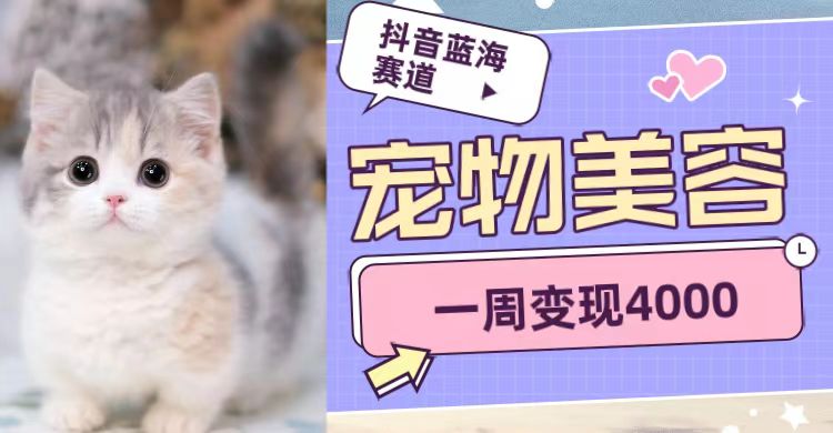 抖音蓝海赛道，宠物美容，一周变现4000-宇文网创