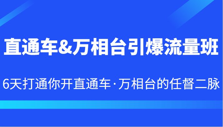 直通车&万相台引爆流量班 6天打通你开直通车·万相台的任督二脉-宇文网创