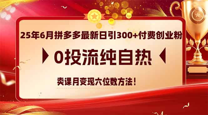 （14989期）25年6月拼多多最新日引300+付费创业粉，0投流纯自热 卖课月变现六位数方法-宇文网创
