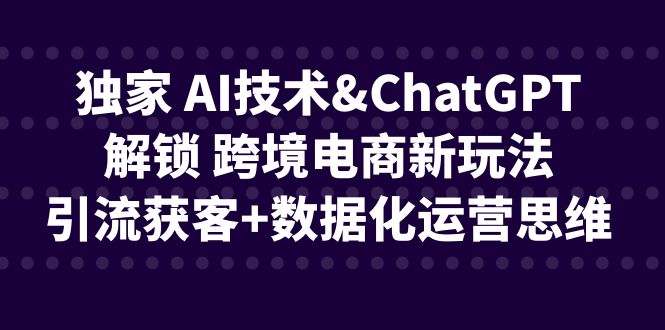 独家 AI技术&ChatGPT解锁 跨境电商新玩法，引流获客+数据化运营思维-宇文网创