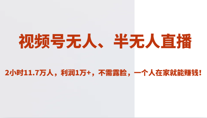 视频号无人、半无人直播2小时11.7万人,利润1万+,不需露脸,一个人在家就能赚钱!-宇文网创