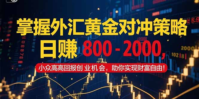 （15198期）掌握外汇黄金对冲策略，日赚 800 – 2000，小众高回报创业机会，助你实…-宇文网创