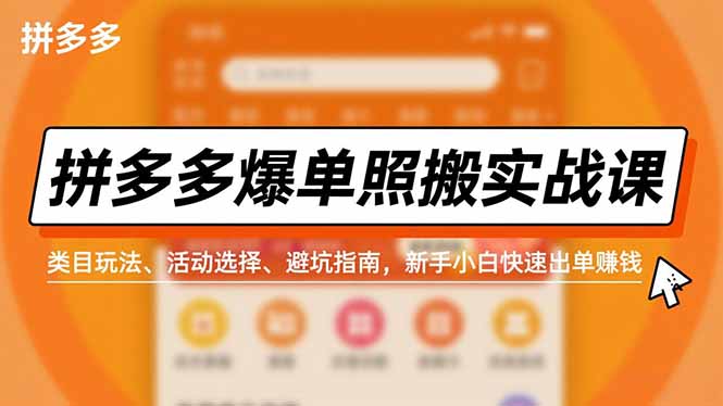 （16838期）拼多多爆单照搬实战课，类目玩法、活动选择、避坑指南，新手小白快速出单赚钱-宇文网创