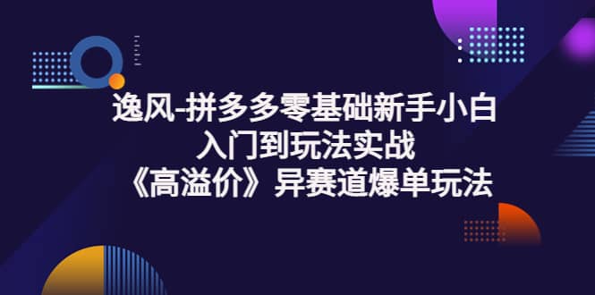 拼多多零基础新手小白入门到玩法实战《高溢价》异赛道爆单玩法实操课-宇文网创