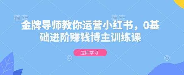 金牌导师教你运营小红书，0基础进阶赚钱博主训练课-宇文网创