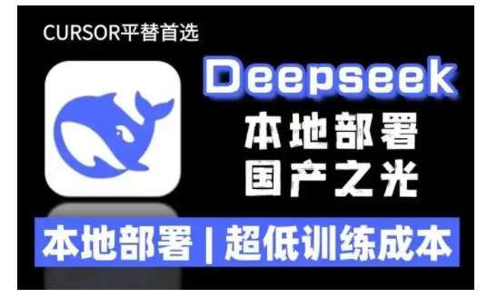 2025年deepseek R1 大型模型本地安装部署(文件+教程)本地部署，超低训练成本-宇文网创