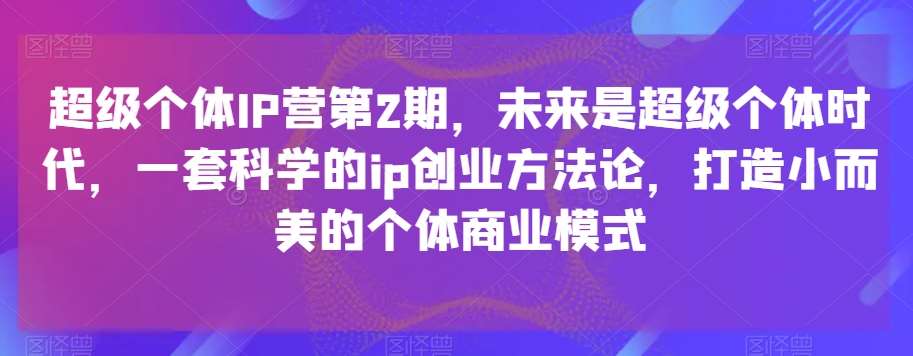 超级个体IP营第2期，未来是超级个体时代，一套科学的ip创业方法论，打造小而美的个体商业模式-宇文网创