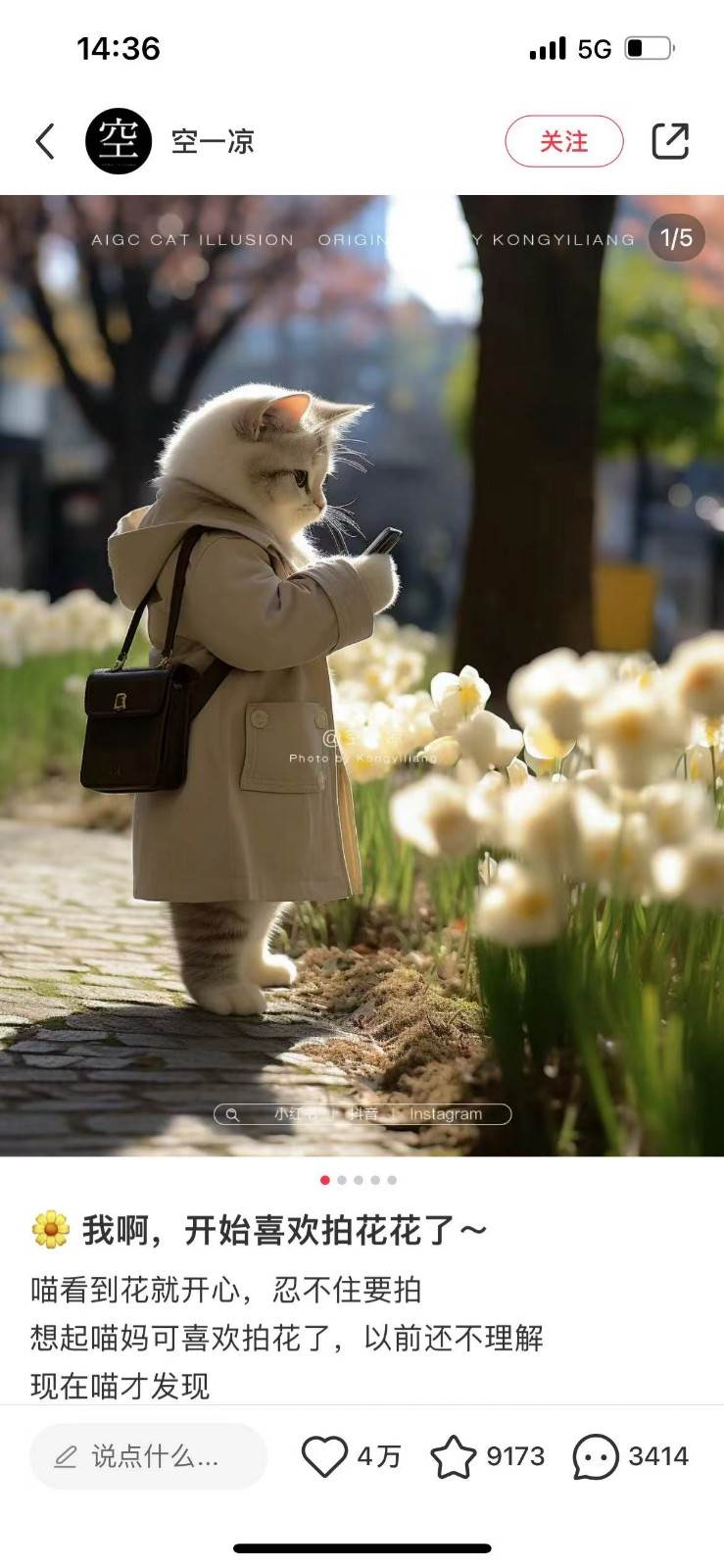 图片[2]-AI猫咪穿搭保姆级教程，起号容易，变现途径多-宇文网创