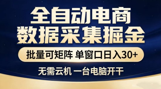 独家电商数据全自动采集项目，批量可矩阵，单窗口轻松日入3张+【揭秘】-宇文网创