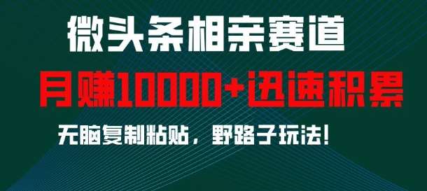 微头条相亲赛道，迅速积累，无脑复制粘贴，野路子玩法，月入1w-宇文网创