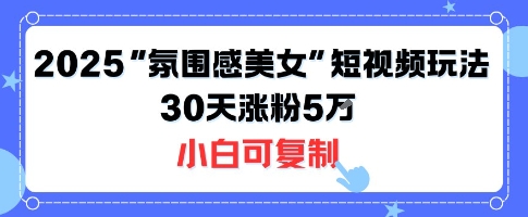 不露脸也能火！2025“氛围感美女”短视频玩法，30天涨粉5W小白可复制-宇文网创