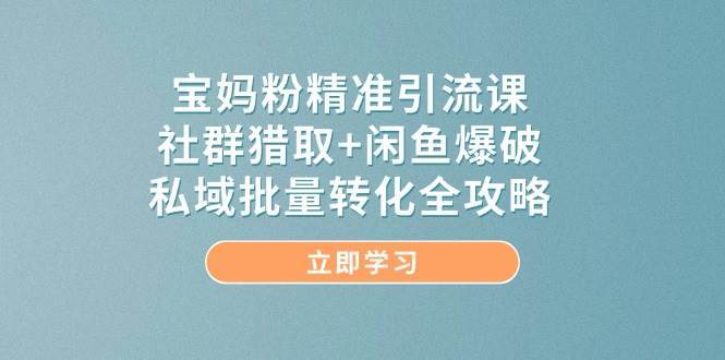 宝妈粉精准引流课，社群猎取+闲鱼爆破，私域批量转化全攻略-宇文网创
