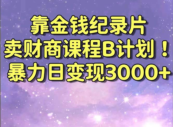 （8944期）靠金钱纪录片卖财商课程B计划！暴力日变现3000+，喂饭式干货教程！-宇文网创