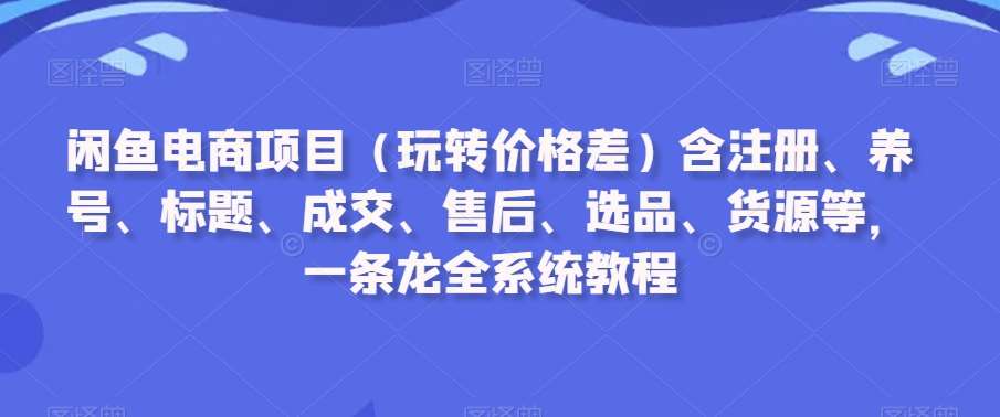 闲鱼电商项目（玩转价格差）含注册、养号、标题、成交、售后、选品、货源等，一条龙全系统教程-宇文网创
