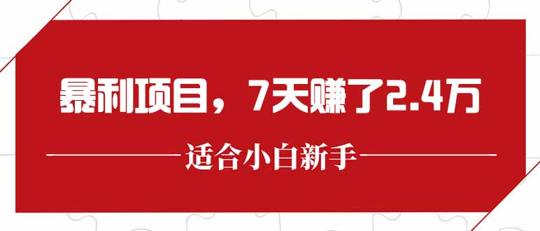 （15228期）最新暴利项目，每单收益轻松在300以上，7天赚了2.4万-宇文网创