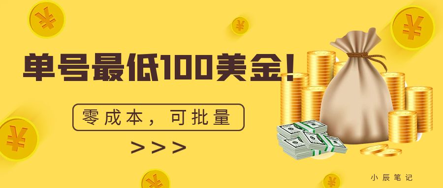 单号最低100美金，零成本，小白无脑操作。可复制，可扩大。-宇文网创