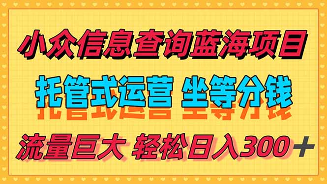 （15216期）稳定日入300＋，小众信息查询蓝海项目，全程懒人式托管，解放你的时间-宇文网创
